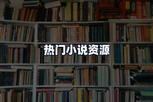 热门小说资源